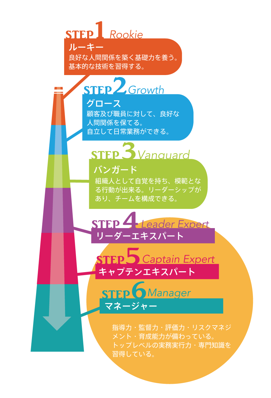 キャリアパス　参考画像