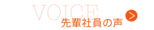 VOICE　先輩社員の声